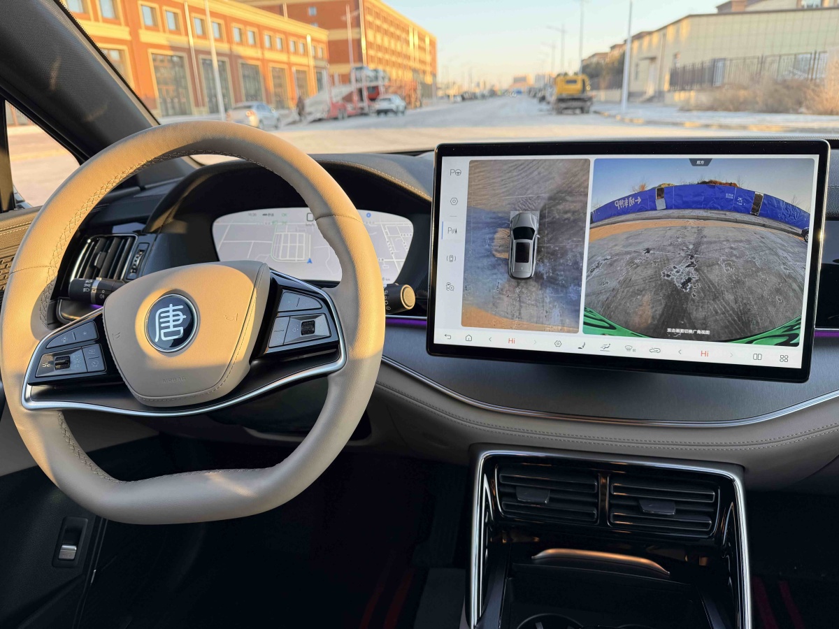 BYD Tang New Energy 2025 car image #11