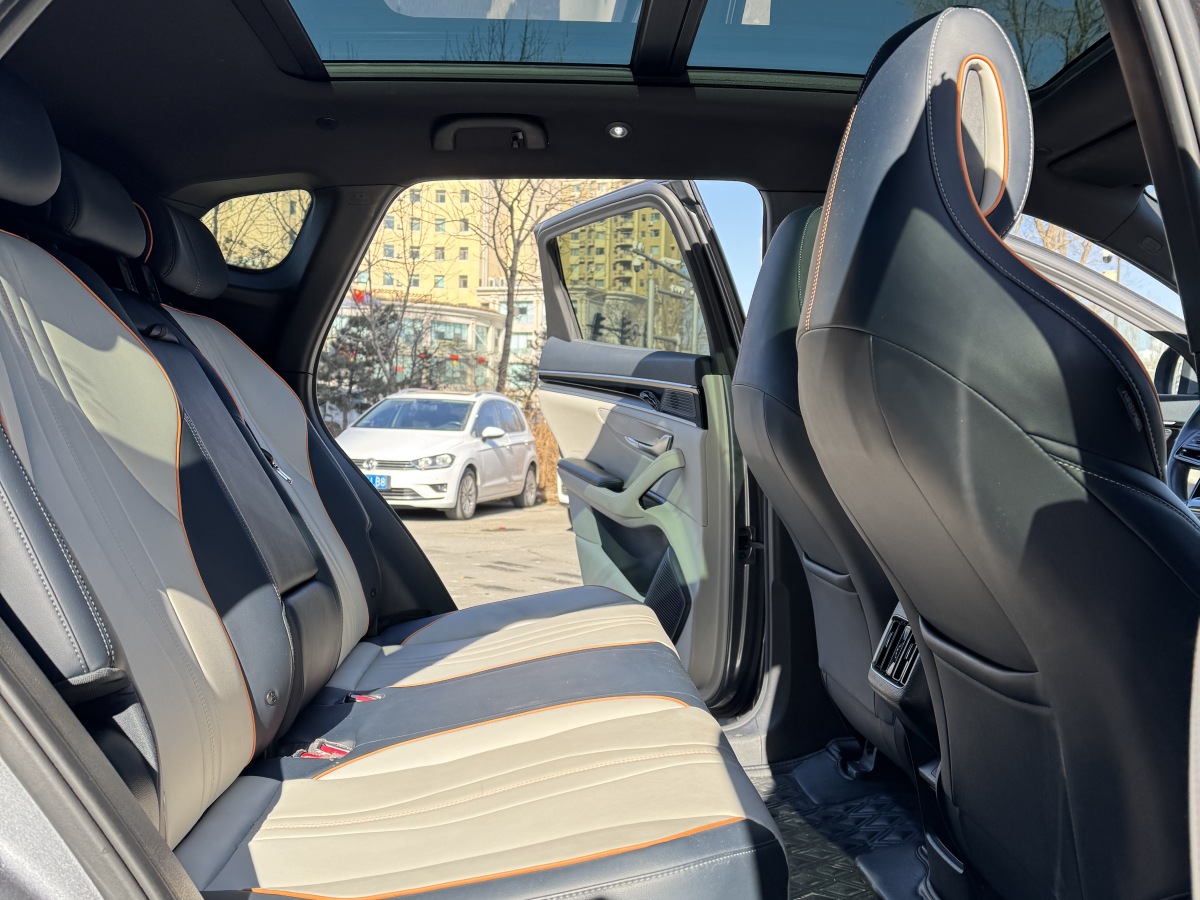 BYD Song Plus New Energy 2022 car image #11