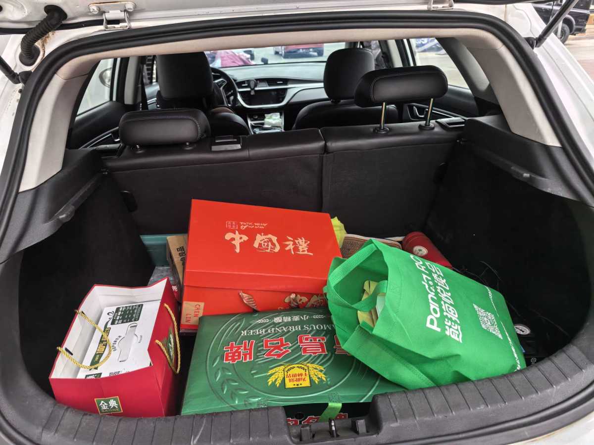 GEELY Emgrand GSe 2018 car image #11