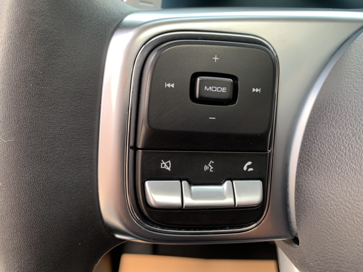 Tank 300 2021 car image #11