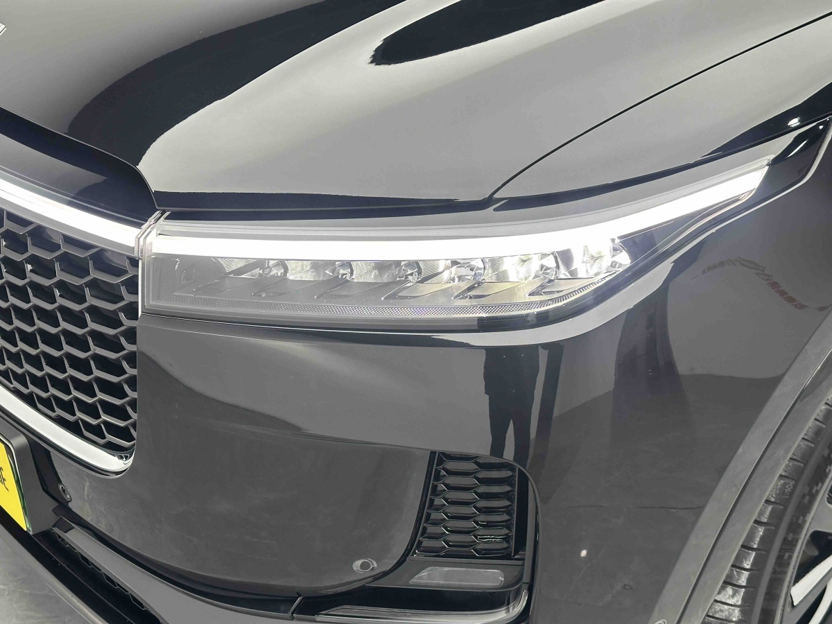 Li One 2021 imagen de coche #11