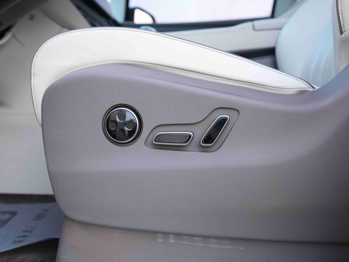 Denza D9 2023 imagem de carro #11