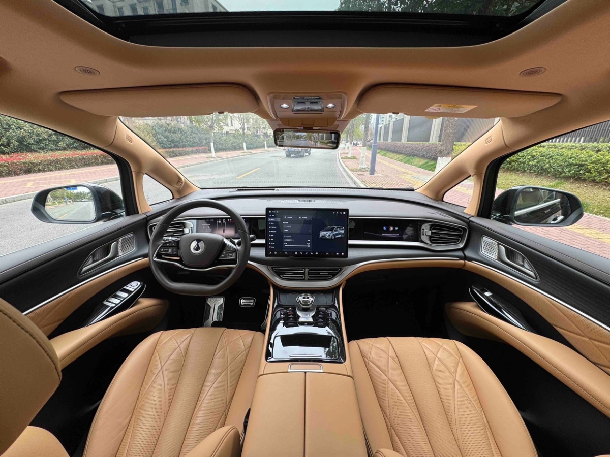 Denza D9 2024 imagen de coche #11