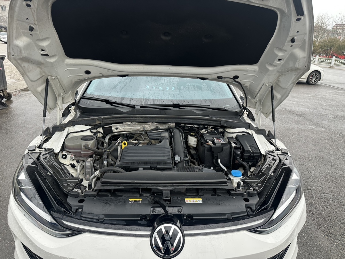 Volkswagen Lamando 2022 car image #11