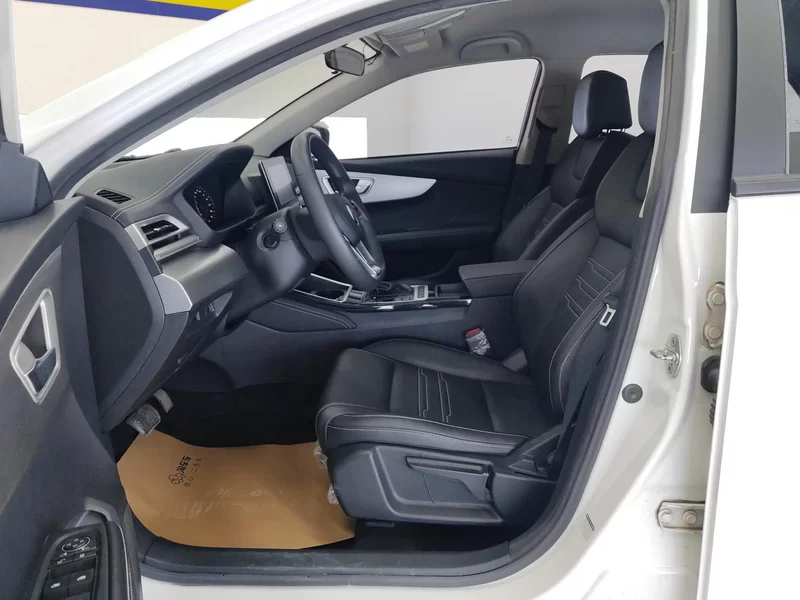 BYD Qin 2020 car image #11