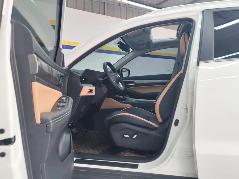 GEELY OkavangoPRO 2024 car image #11