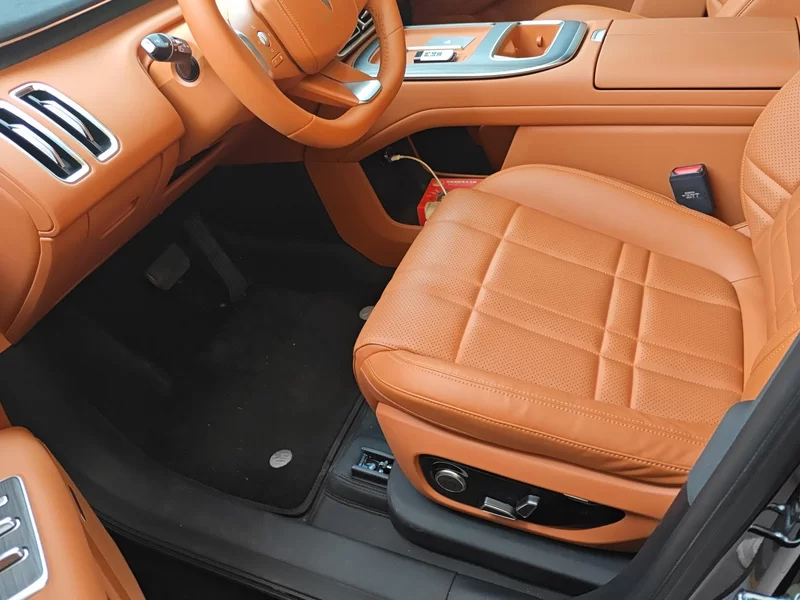 Deepal S09 2025 car image #11