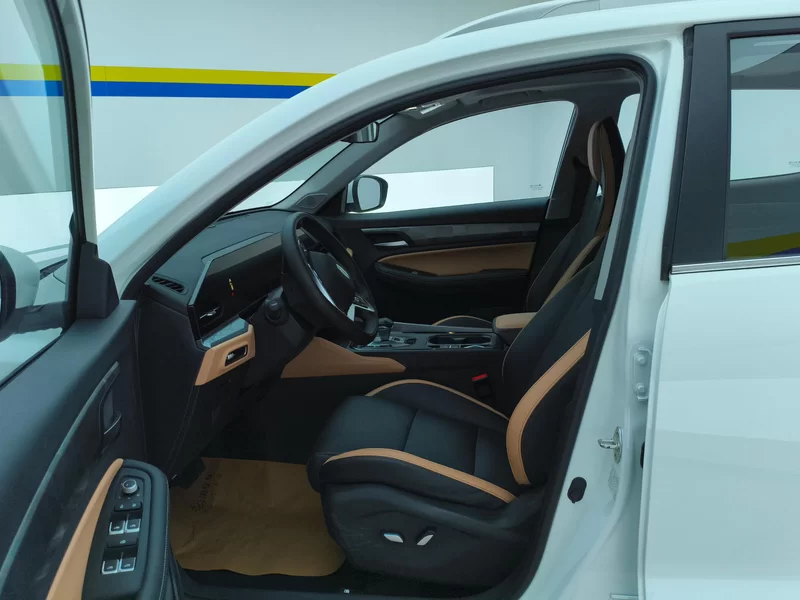 GEELY OkavangoPRO 2025 #11 GEELY OkavangoPRO 2025 car image #11