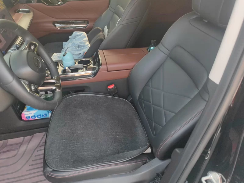 GAC Trumpchi E8 2024 car image #11