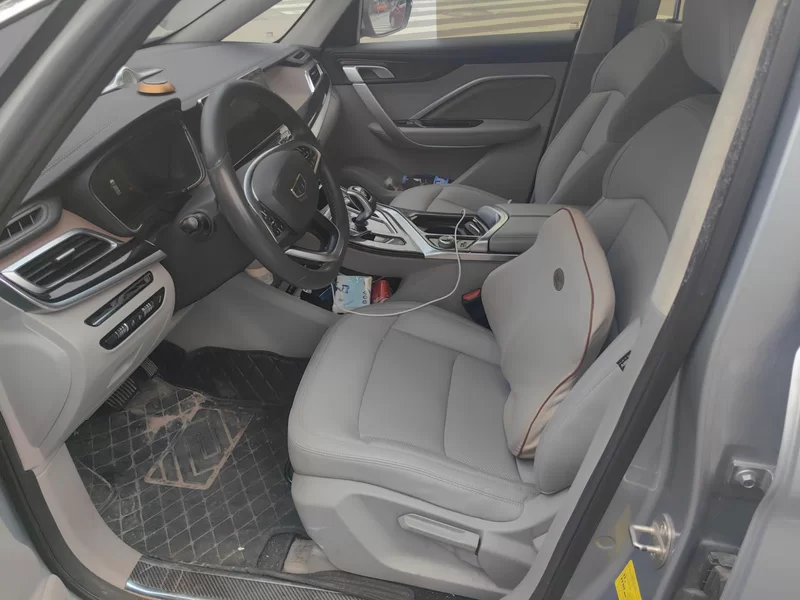 GEELY JiaJi 2019 car image #11