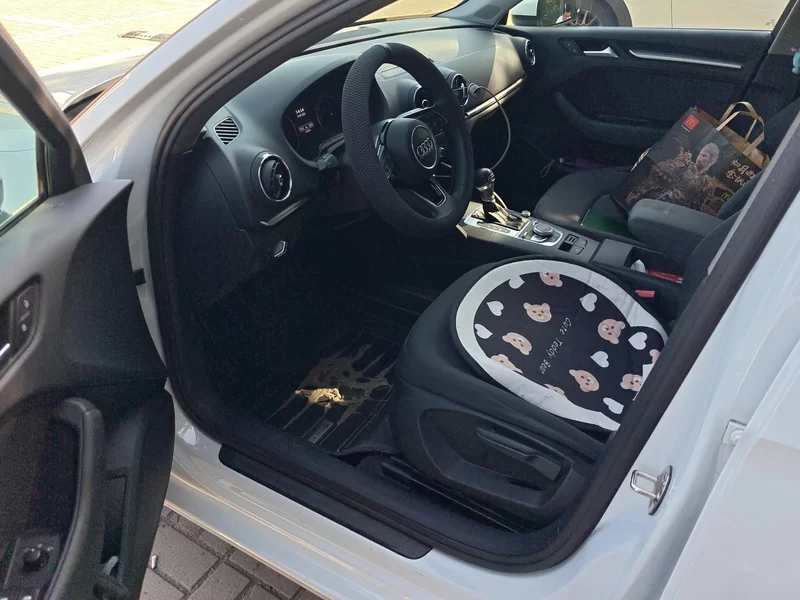 Audi A3 New Energy (Imported) 2018 immagine di auto #11