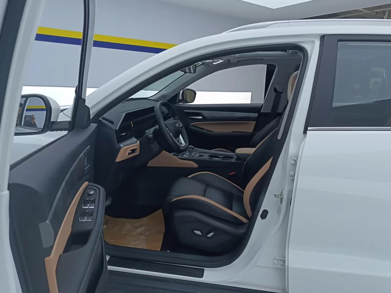 GEELY OkavangoPRO 2024 car image #11