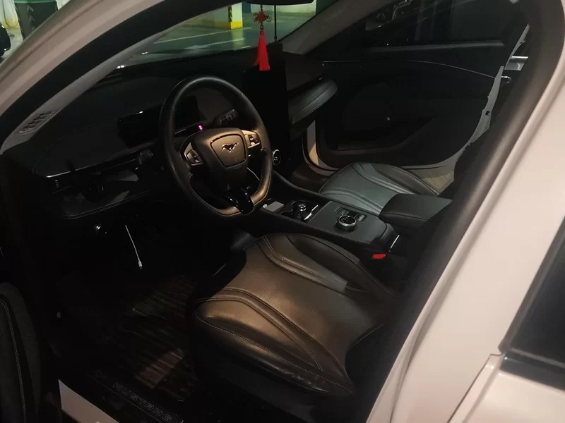 Ford Mustang Mach-E 2022 #11 Ford Mustang Mach-E 2022 car image #11