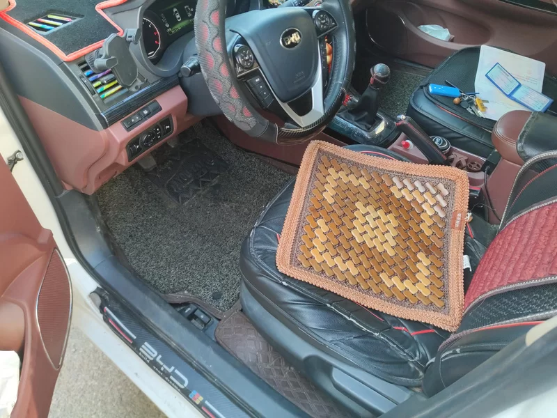 BYD SuRui 2017 #11 BYD SuRui 2017 car image #11