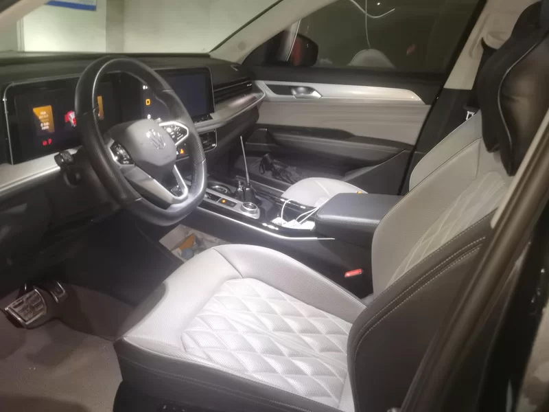 Volkswagen Tavendor 2023 car image #11