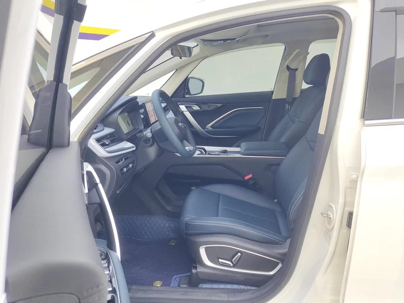 GEELY JiaJi 2025 immagine di auto #11