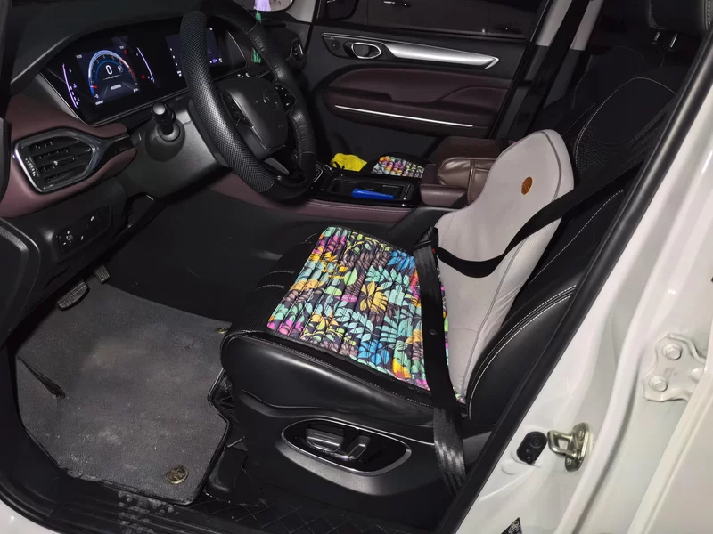 GAC Trumpchi M6 2023 #11 GAC Trumpchi M6 2023 car image #11