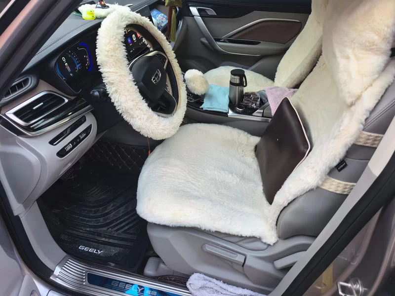 GEELY JiaJi 2019 #11 GEELY JiaJi 2019 car image #11