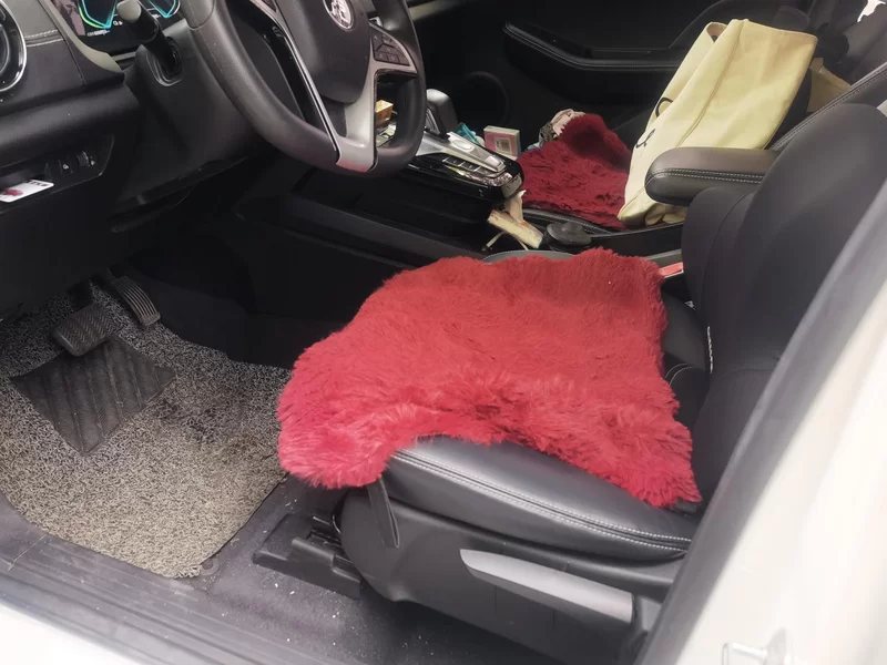 BYD Yuan New Energy 2020 car image #11