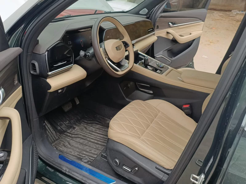 GEELY Monjaro MHEV 2024 car image #11