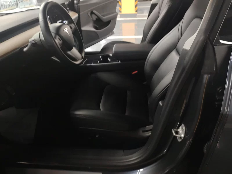 特斯拉 Model 3(进口) 2019 汽车图片 #11