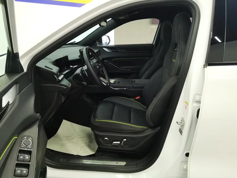 Haval H6S 2022 immagine di auto #11