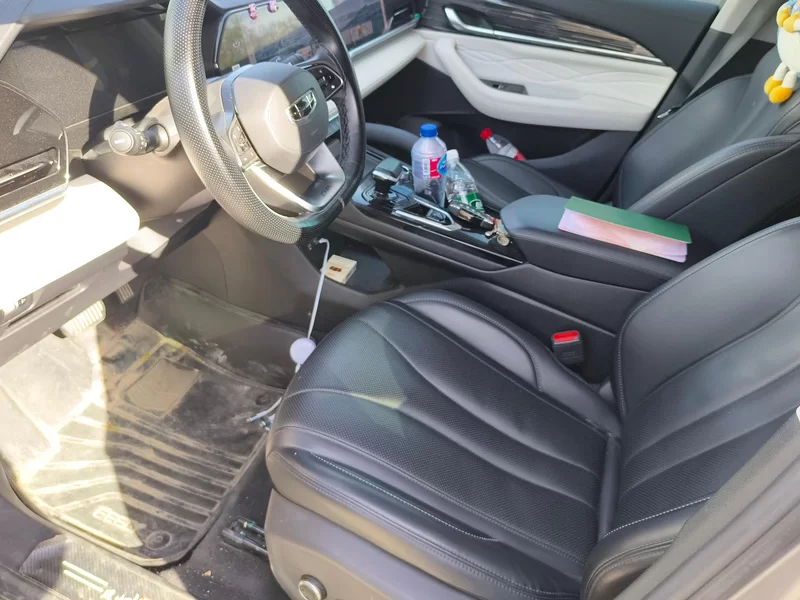 GEELY Tugella 2023 immagine di auto #11