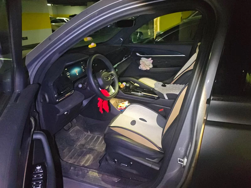 GEELY Monjaro MHEV 2024 car image #11