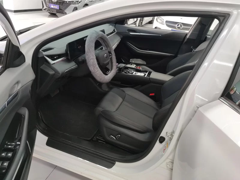 Changan Raeton Plus 2024 car image #11