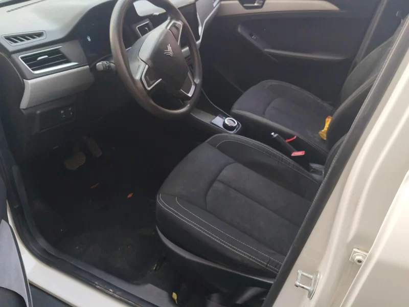 哪吒汽车 哪吒N01 2020 汽车图片 #11