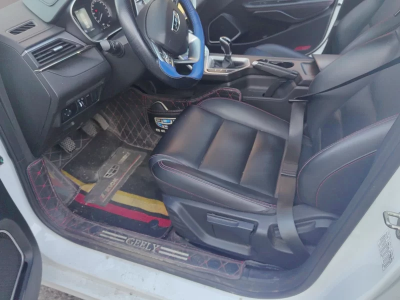 GEELY Binray 2021 car image #11