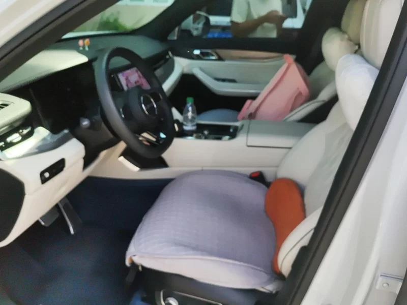 Lynk & Co 09 EM-P 2022 car image #11