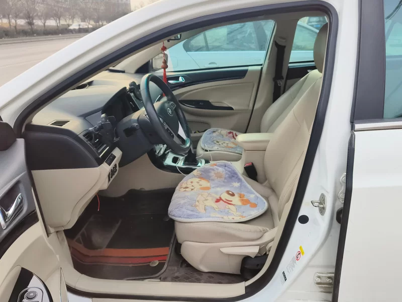 BYD e5 2017 #11 BYD e5 2017 car image #11