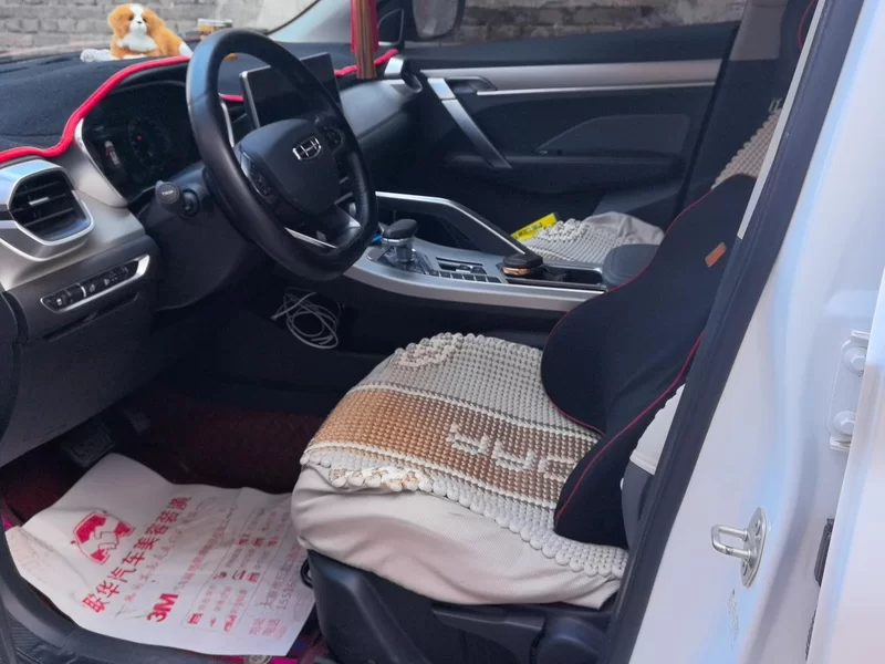 GEELY Coolray 2023 immagine di auto #11