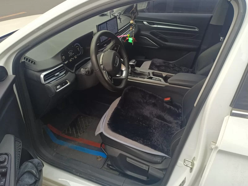 GEELY Emgrand 2023 immagine di auto #11