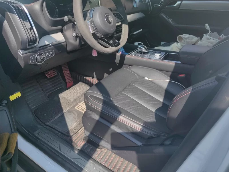 BYD Tang New Energy 2018 car image #11