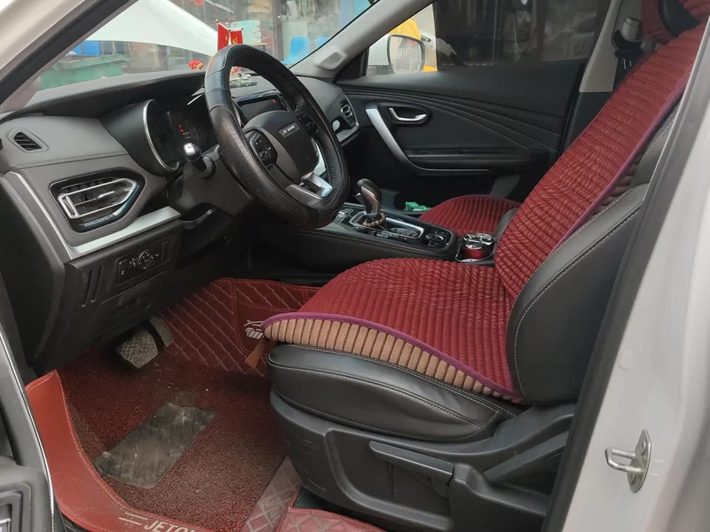 Jetour X70 2019 car image #11