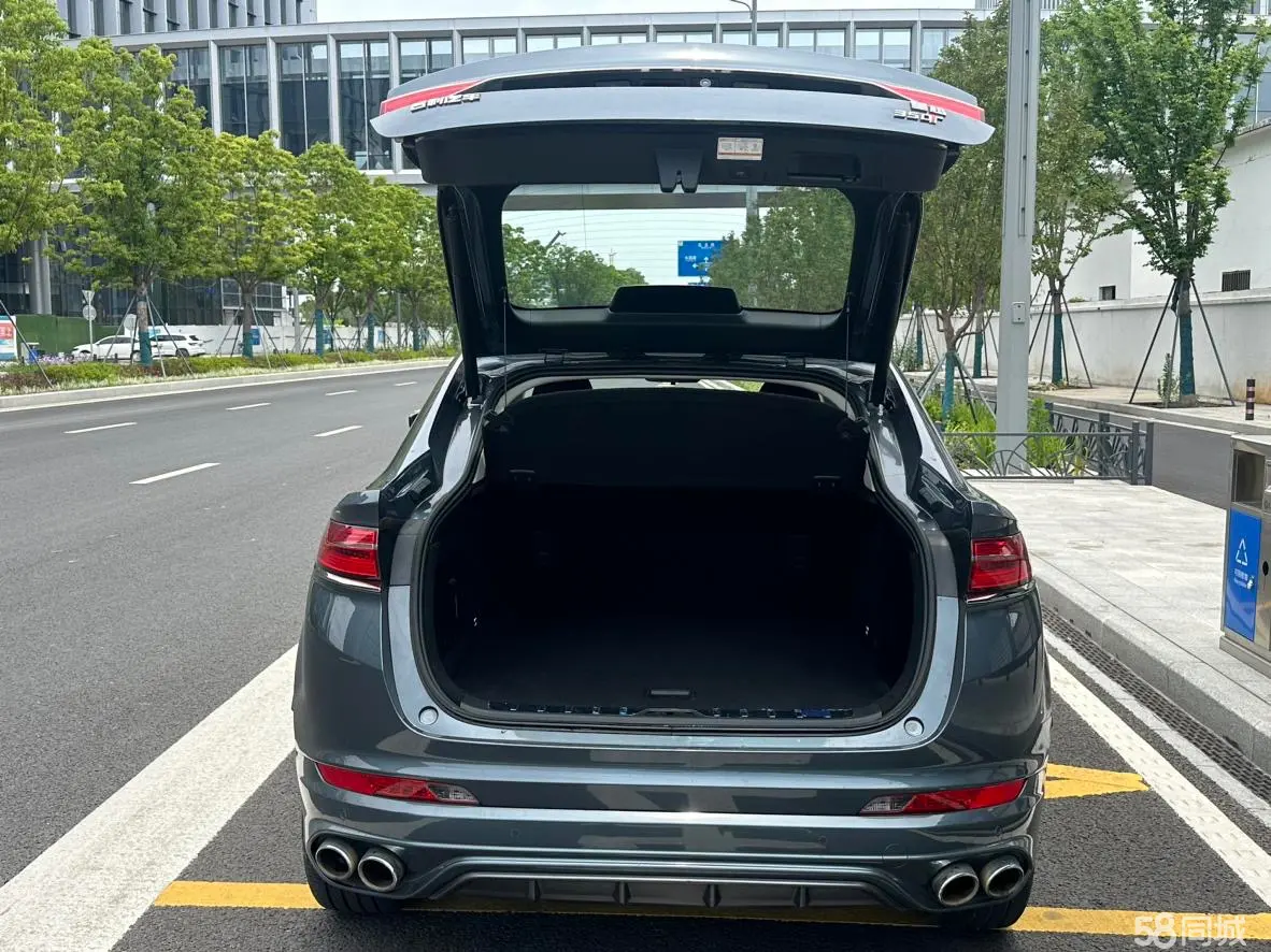 GEELY Tugella 2019 car image #11