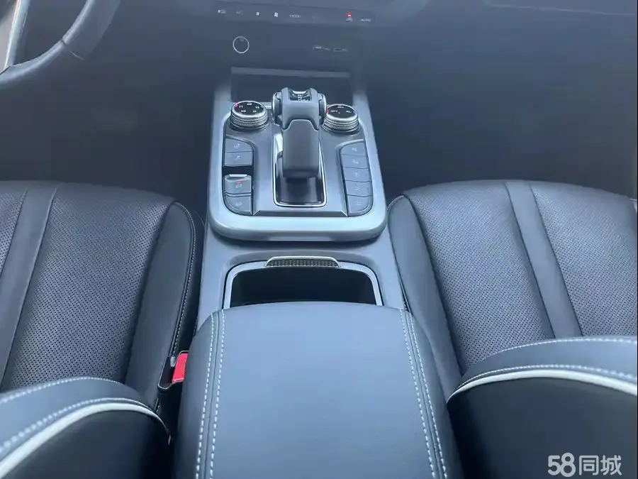 Tank 300 2024 immagine di auto #11