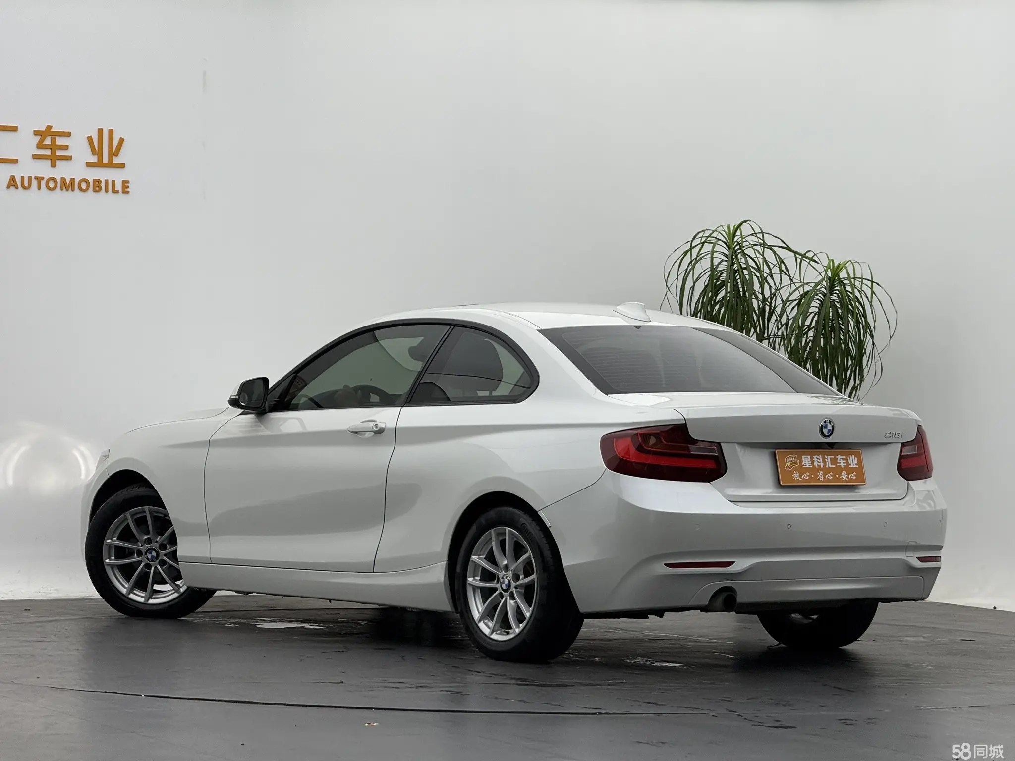 BMW 2 Series (Imported) 2016 imagen de coche #11