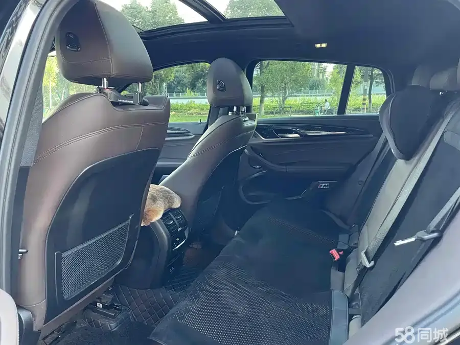 BMW X4 2020 car image #11