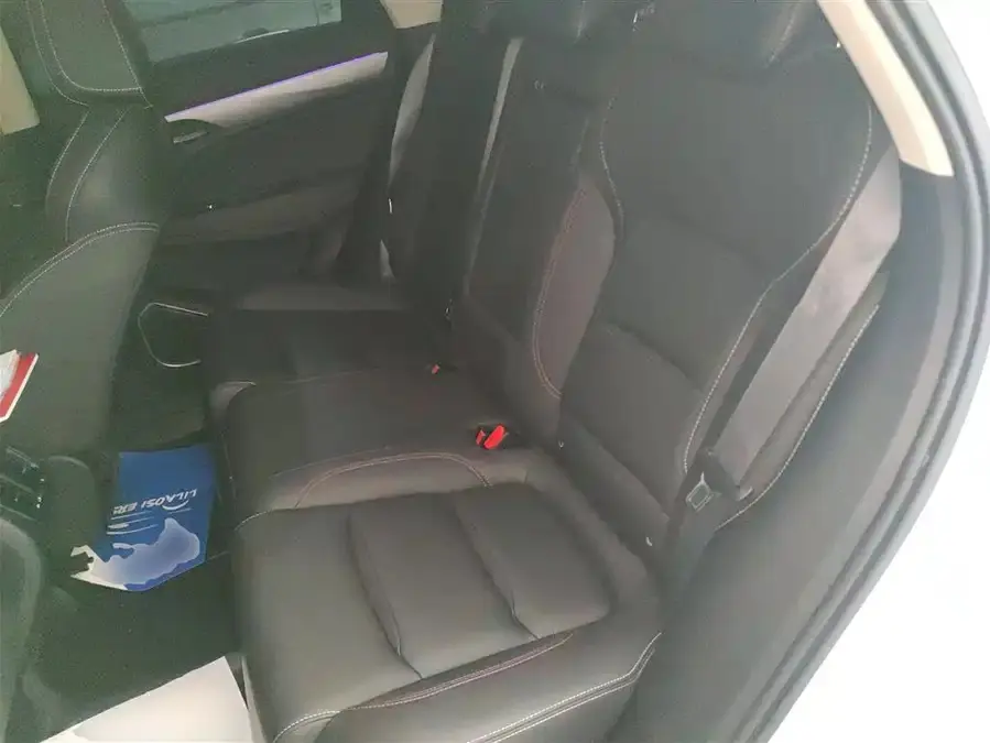 GEELY Tugella S 2021 #11 GEELY Tugella S 2021 car image #11