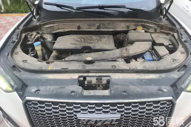 Haval F5 2019 car image #11