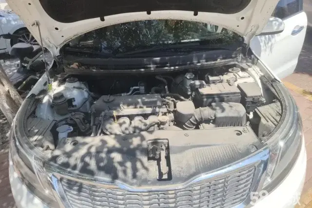 起亚 起亚K2 2014 汽车图片 #11