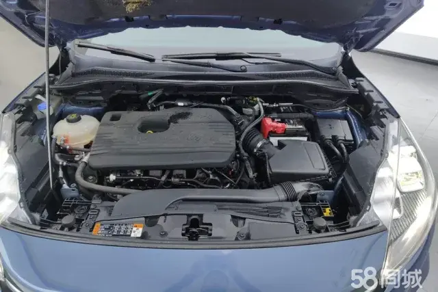 Ford Escape 2021 immagine di auto #11