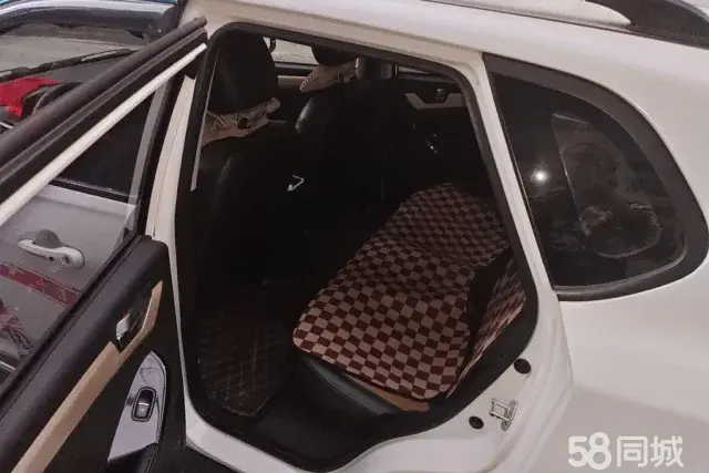 哪吒汽车 哪吒N01 2018 汽车图片 #11