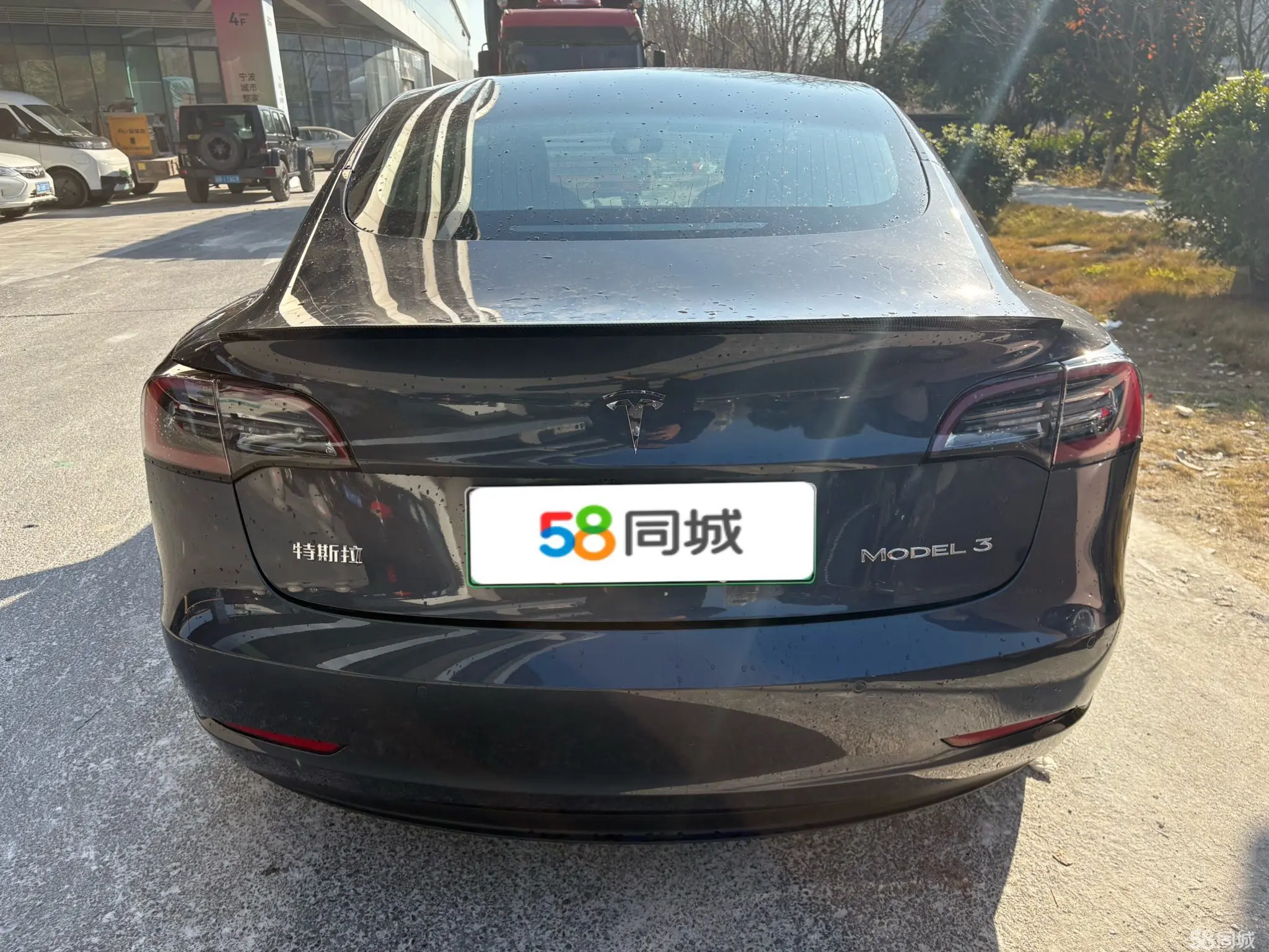 Tesla Model 3 2020 immagine di auto #11