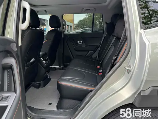 Jetour Shanhai 2024 car image #11