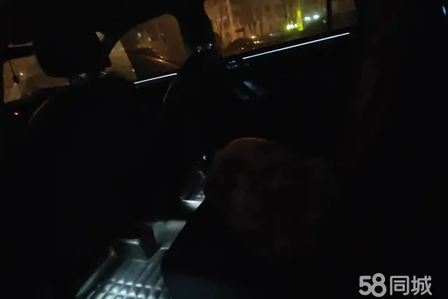 Volkswagen Tiguan L New Energy 2020 изображение автомобиля #11