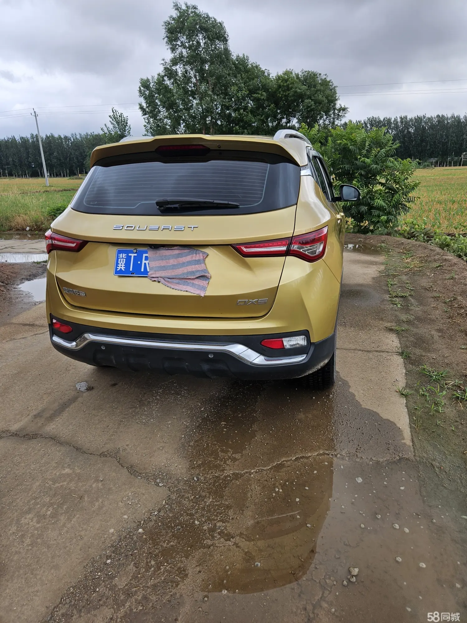 Soueast DX5 2020 imagen de coche #11